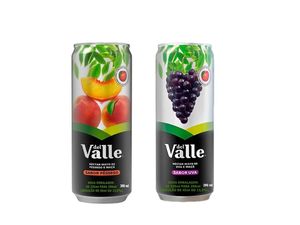imagem do produto Suco Del Valle 290ml
