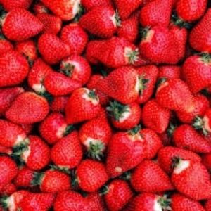 imagem do produto Picanha Bloomin Burger