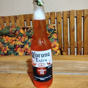 imagem do produto 517 - Orange Beer