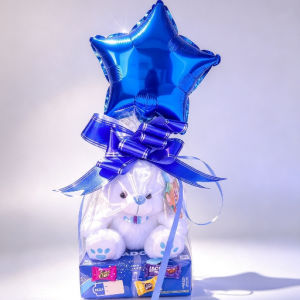 imagem do produto Urso mais caixa de chocolate azul
