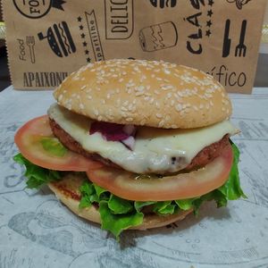 imagem do produto Cheese salada ((Combo))