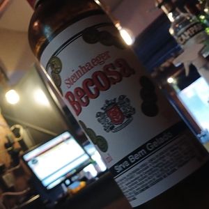 imagem do produto Esteinhaeger becosa