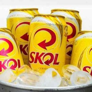 imagem do produto Skol lata