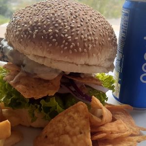 X1_LANCHES 