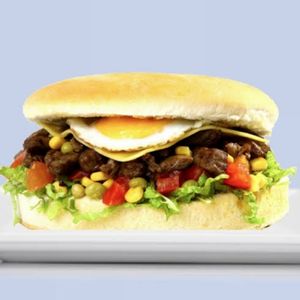 imagem do produto Xis tudão 