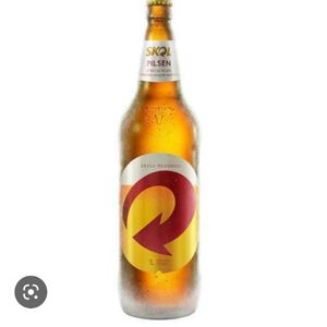 imagem do produto SKOL LITRÃO GELADA