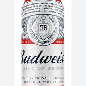 imagem do produto BUDWEISER LATÃO 473ML