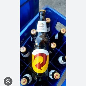 imagem do produto CAIXA SKOL LITRÃO GELADA C/12 UNIDADES