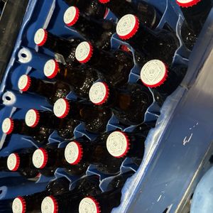 imagem do produto BUDWEISER CX CRACUDINHA GELADA