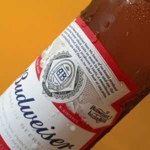 imagem do produto Budweiser