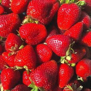 imagem do produto Morango