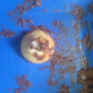 imagem do produto Sequilho com Nutella 