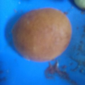 imagem do produto Pão de mel