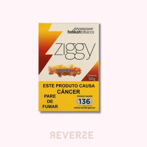 imagem do produto Ziggy - Tropical 