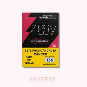 imagem do produto Ziggy - Melancia