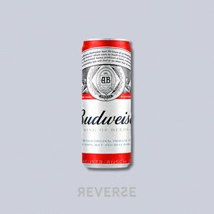 imagem do produto Cerveja Budweiser 350ml