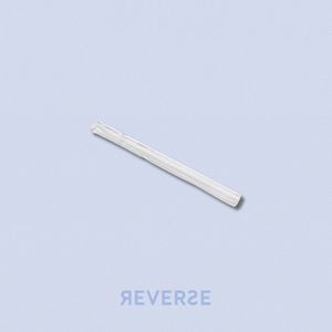 imagem do produto Piteira de Vidro