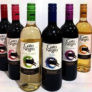 imagem do produto VINHO GATO NEGRO 