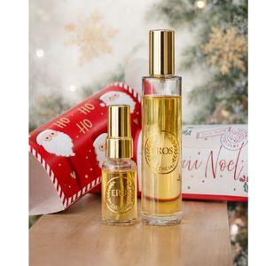 imagem do produto 🪴 KIT CARINHO EM MINIATURA