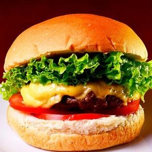 imagem do produto X-Salada