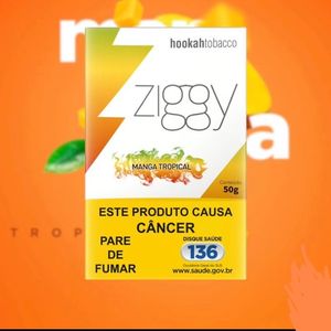 imagem do produto Ziggy manga 🥭