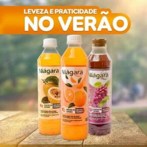 imagem do produto Suco Niágara 400ml