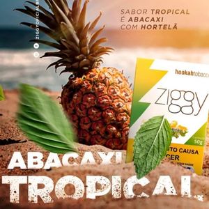 imagem do produto Ziggy Abacaxi tropical 🍍