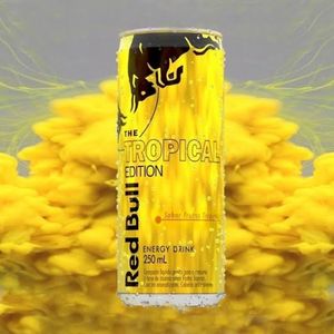 imagem do produto RED BULL TROPICAL 250ML | UNI | GELADA 