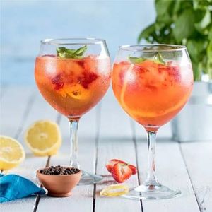 imagem do produto TAÇA PARA GIN NADIR 600ML