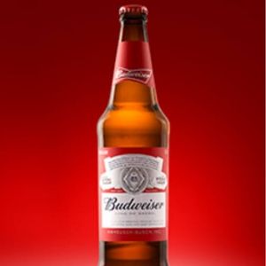 imagem do produto BUDWEISER LAGER 600ML | GELADA 