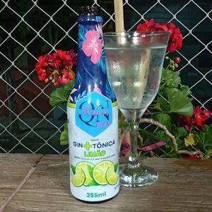 imagem do produto GIN E TONICA QN LIMÃO UNIDADE GELADA
