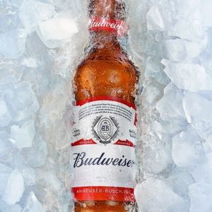 imagem do produto BUDWEISER LONG NECK | GELADA