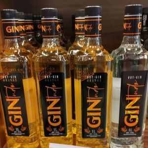 imagem do produto GIN TUDO DRY 1L