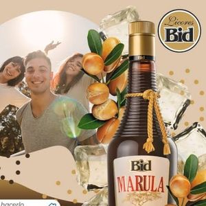 imagem do produto LICOR BID MARULA 720ML