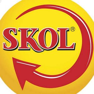 imagem do produto Skol