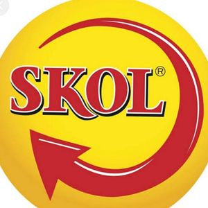 imagem do produto Skol 