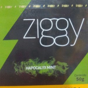 imagem do produto Ziggy menta