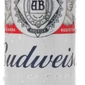imagem do produto Budweiser 269