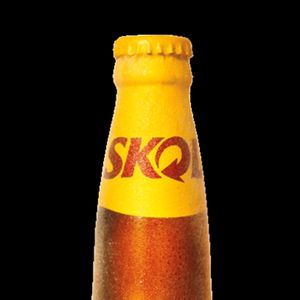 imagem do produto Skol