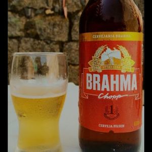 imagem do produto Brahma longnecks