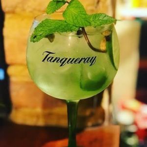 imagem do produto Gin Tônica Maçã Verde 