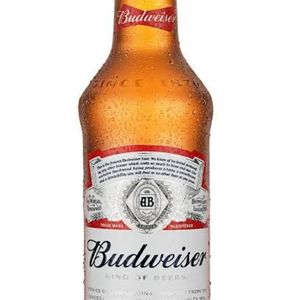 imagem do produto Budweiser 330ml