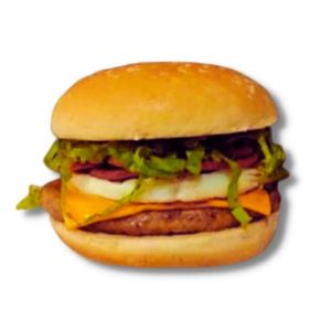 imagem do produto X-tudo 