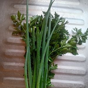 imagem do produto Cheiro verdes"salsa e cebolinha"