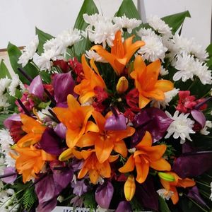 imagem do produto Coroas Especiais 