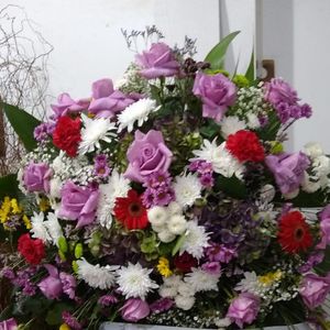 imagem do produto Coroas Especiais 