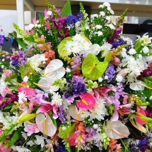 imagem do produto Coroas Especiais 