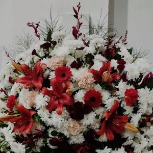 imagem do produto Coroas Especiais 