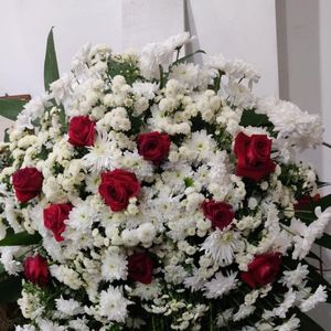 imagem do produto Coroas Especiais 