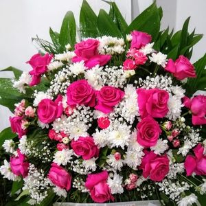 imagem do produto Coroas Especiais 